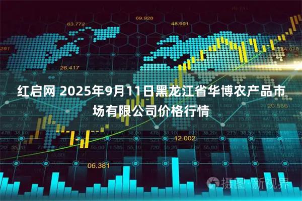 红启网 2025年9月11日黑龙江省华博农产品市场有限公司价格行情
