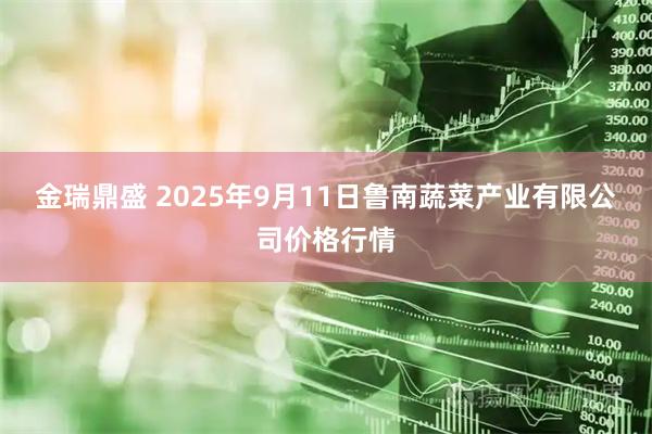 金瑞鼎盛 2025年9月11日鲁南蔬菜产业有限公司价格行情