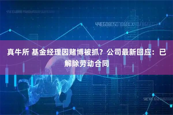 真牛所 基金经理因赌博被抓?公司最新回应:已解除劳动合同