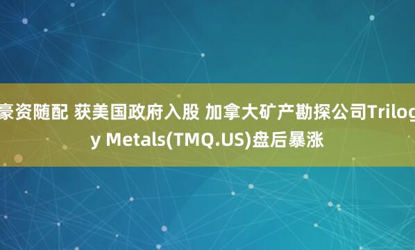 豪资随配 获美国政府入股 加拿大矿产勘探公司Trilogy Metals(TMQ.US)盘后暴涨