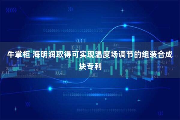 牛掌柜 海明润取得可实现温度场调节的组装合成块专利