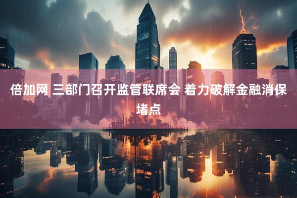 倍加网 三部门召开监管联席会 着力破解金融消保堵点